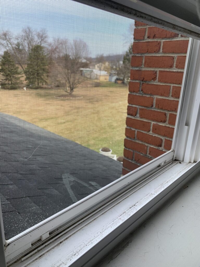 window Screens Advantage
